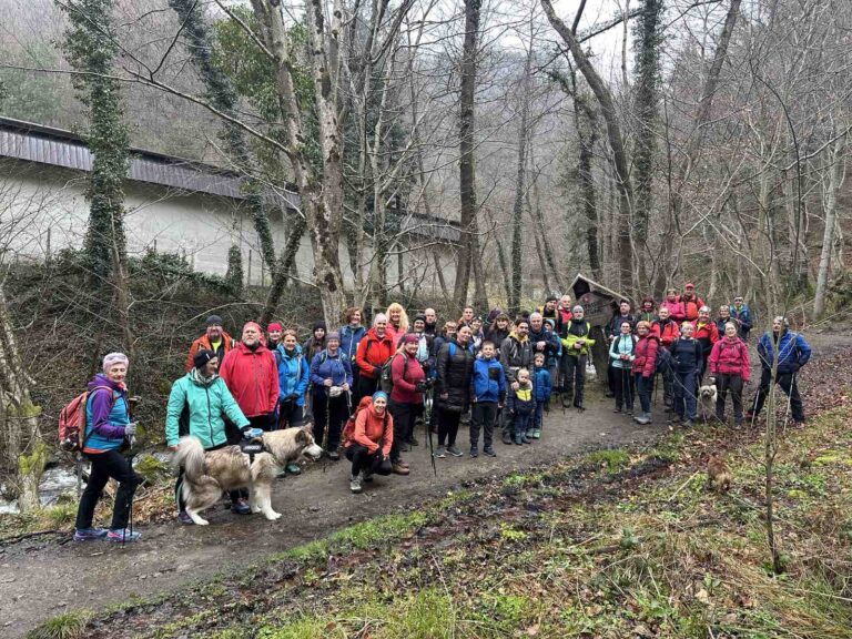 Bistriški Vintgar – Urh – Ančnikovo gradišče, 9. 3. 2024