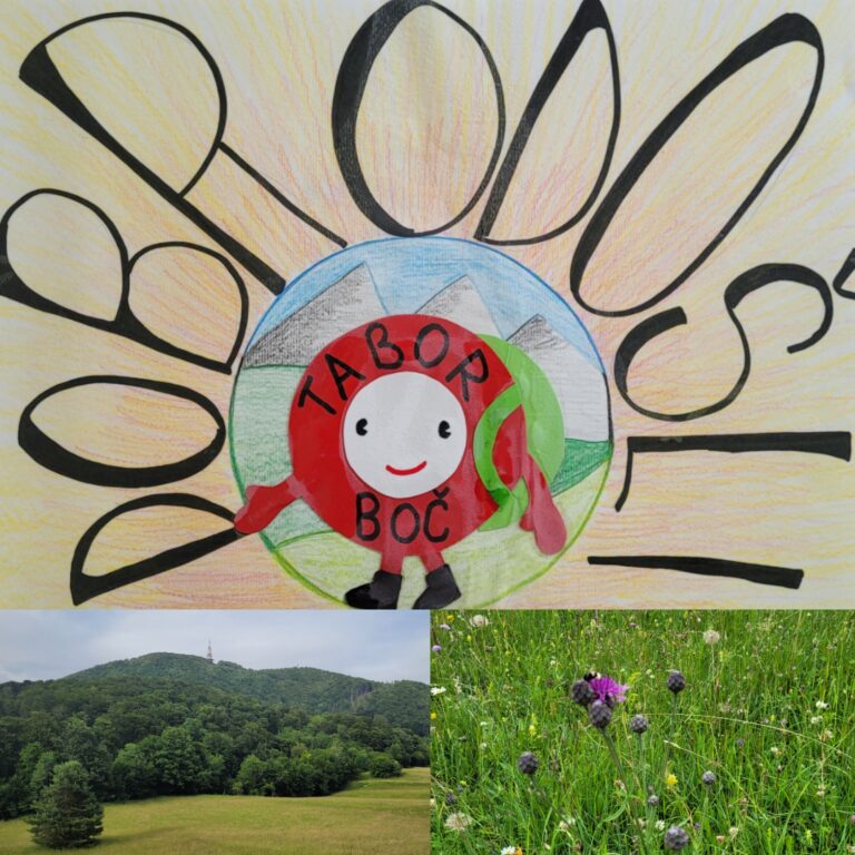 PLANINSKI TABOR CICIBAN PLANINCEV NA BOČU