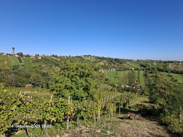 29. POHOD PO POTEH MIŠKA KRANJCA – VTIS